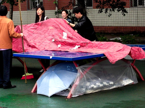 More pingpong shelters