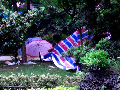 More makeshift camps in the garden
