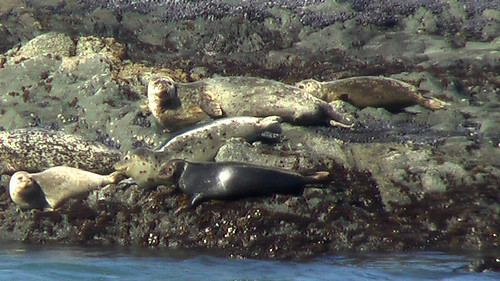 hiking the Lost Coast Trail, California