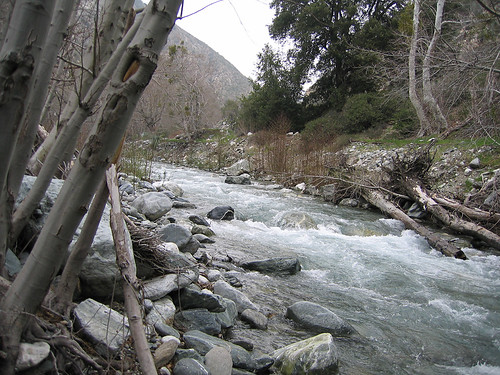 Bridge to Nowhere 02