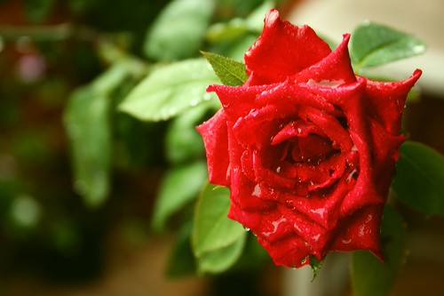 beautiful but a little shy 