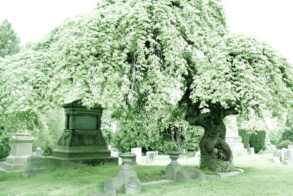 Phinney family gravesite