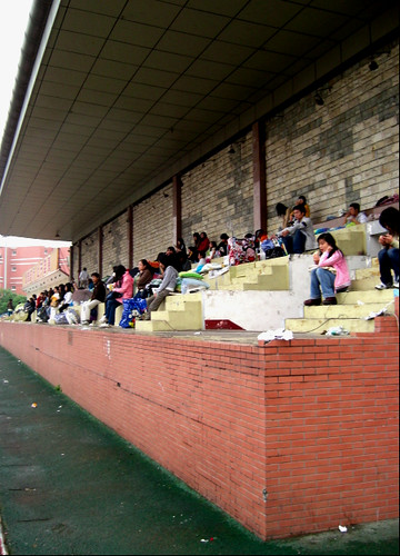 In the Bleachers