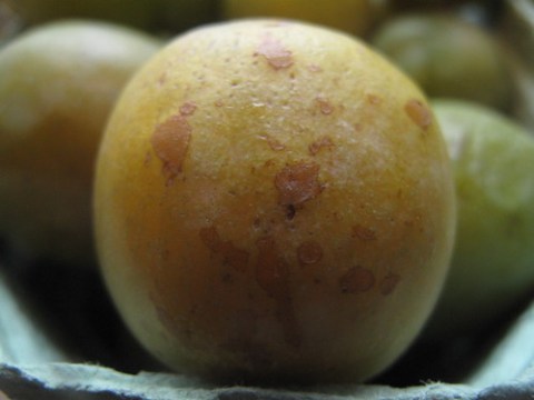 Green plums