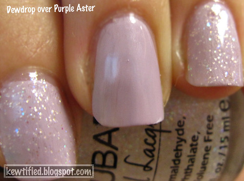 DewdropOverPurpleAster