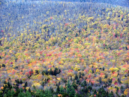 2009-10-11 - Leaf Peeping and Cathedral Ledge 026