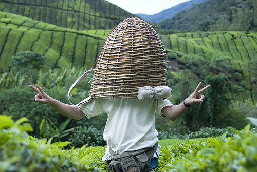 love-maker with basket