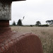 20090807-IMG_8109