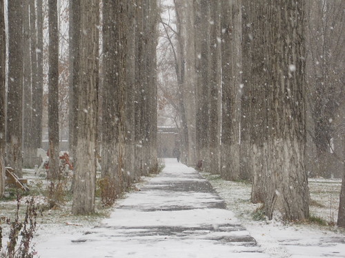 Pouring snow