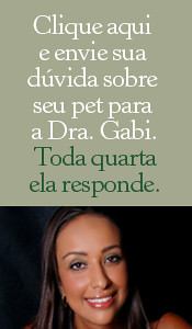 Cachorro Blog