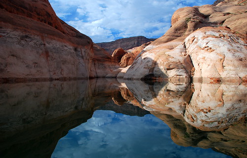 reflect