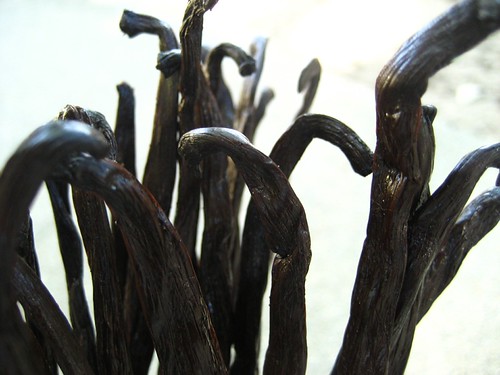 Vanilla garlic: know your vanilla