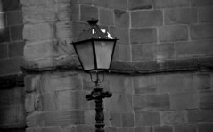 Streetlight