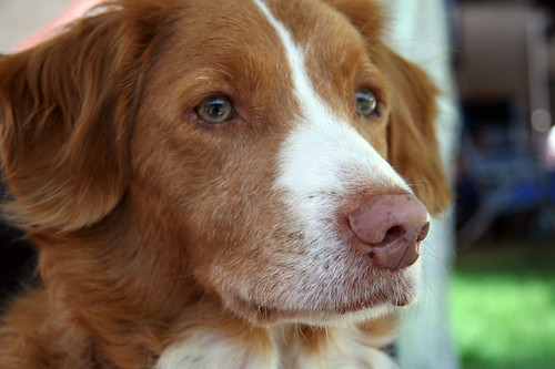 6775 Ramona 05-23-09