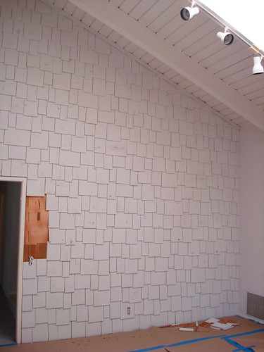 shingle 2