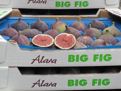 More figs