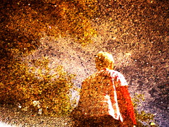 by peggyhr via flickr.com