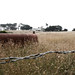 20090807-IMG_8101