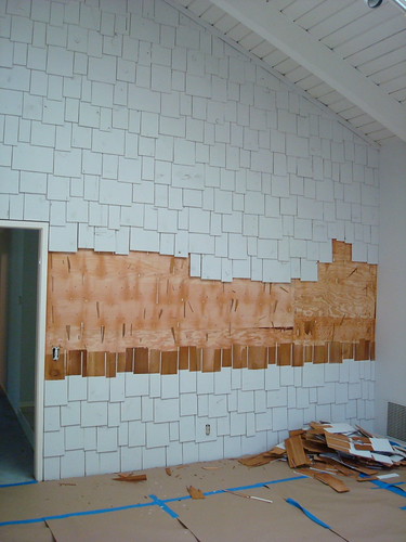 shingle 1