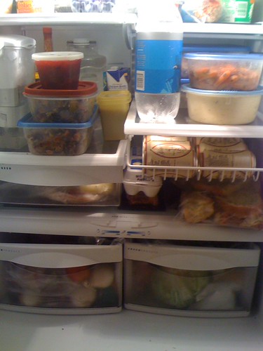 My Fridge with Thanksgiving Leftovers