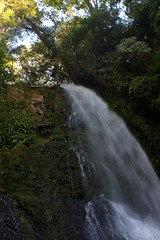 07_01_10_IMG_0759