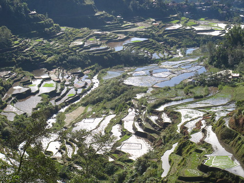 Rice Terraces in Banaue, the Philippines