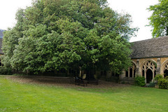 Christ Church college at Oxford - cloisters