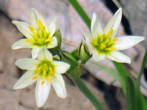 Skull Hollow Nature Trail Slideshow