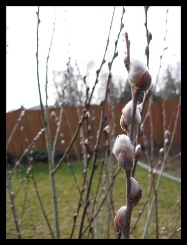 winter 015