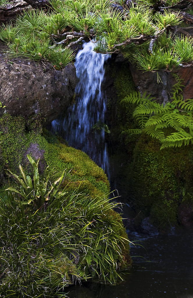 falls