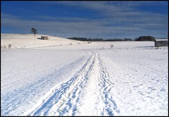 Allgaeu 2010 Januar Schnee 2