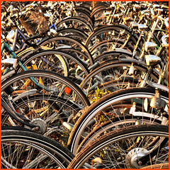 waves of bicycles