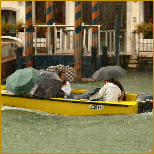 raining cats & dogs...