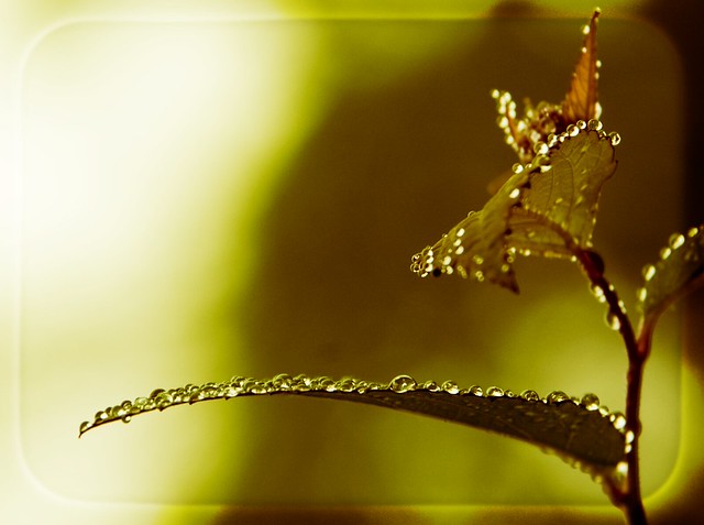 For you..