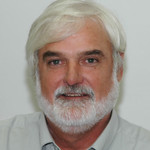 Steve Staal, Theme Director