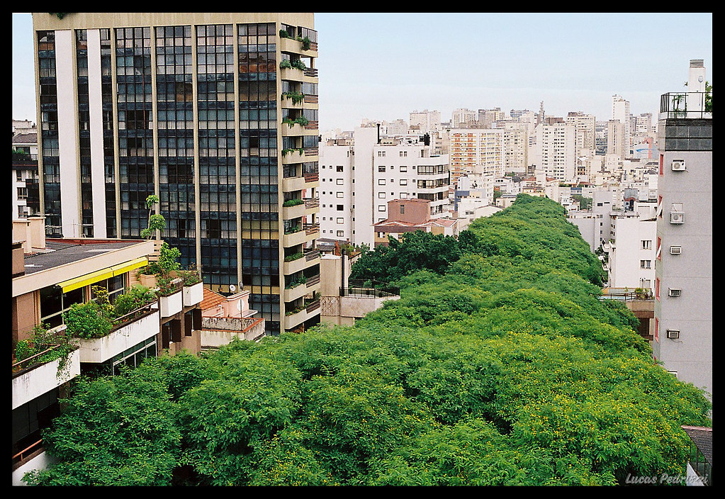 The most beautiful street of the world I - A rua mais bonita do mundo