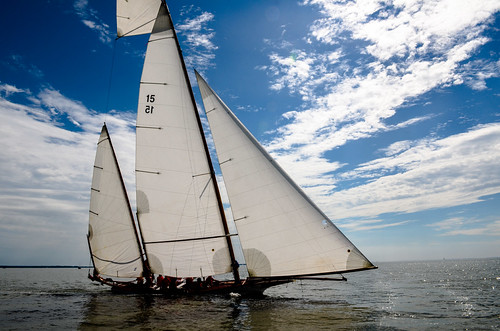 Oxford Regatta - Chesapeake Log Canoes-419.jpg by hergan family