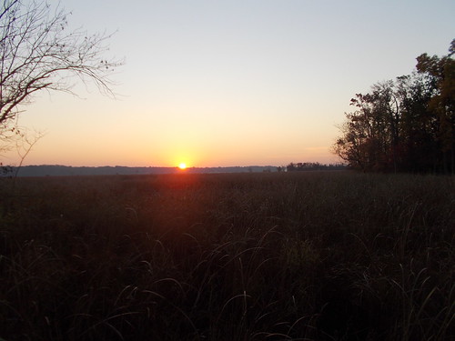 Sunrise Dyke Marsh 10/29/13 by Rootchopper