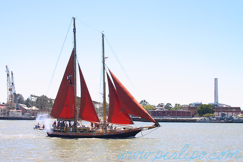 Vallejo Pirate Festival