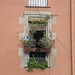 Flower pots