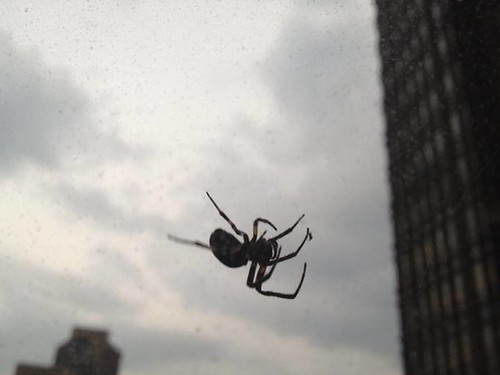 292077_10151372967446981_136178777_n