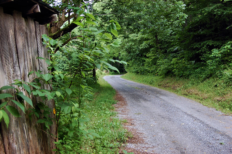 Cherokee National Forest