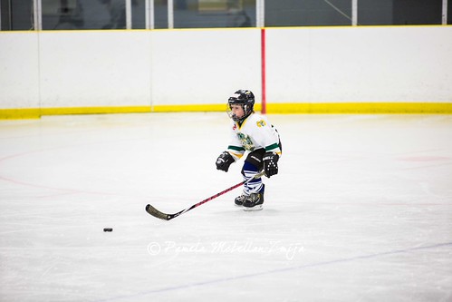 20131109-328C1421-WM by {Pamela Zmija Photography}