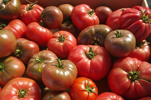 TomatoAtMarket