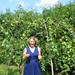 Plums