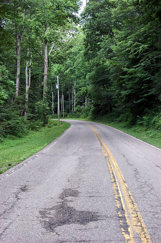Cherokee National Forest