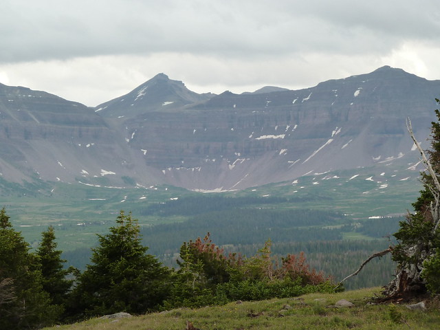 P1050236