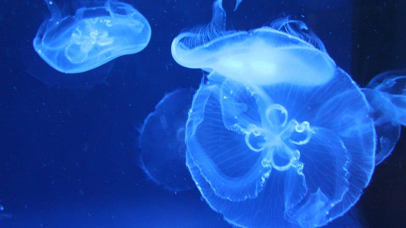 No matter how far you travel, you can never get away from yourself