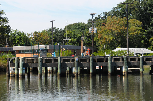 Bush River and Still Pond Adventure-6.jpg by hergan family