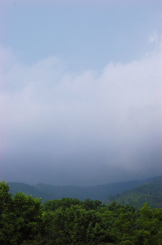 Cherokee National Forest